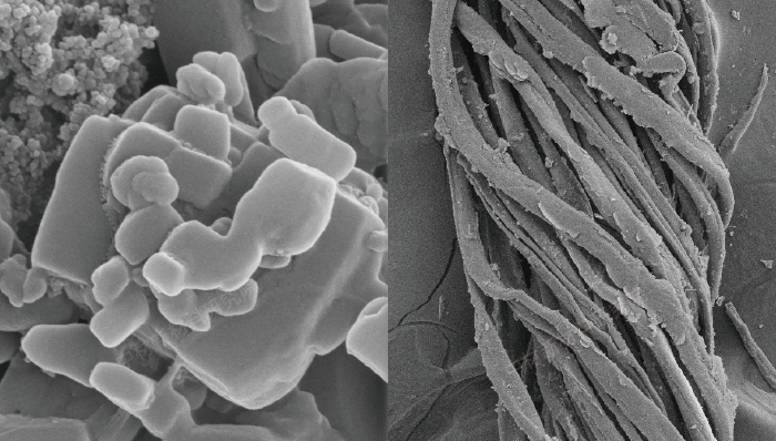 SEM testing